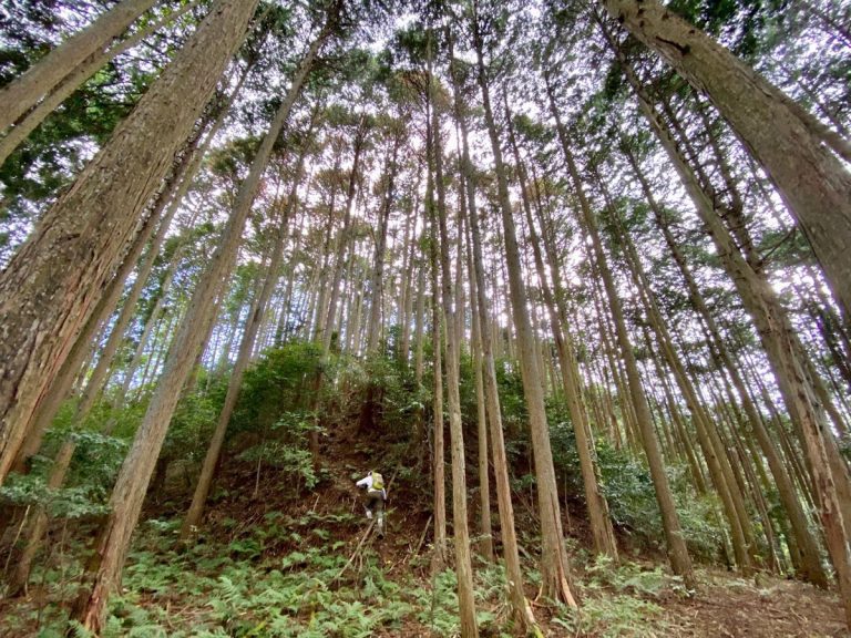 Yamagaki Castle: An Adachi Family Mountain Castle in Japan