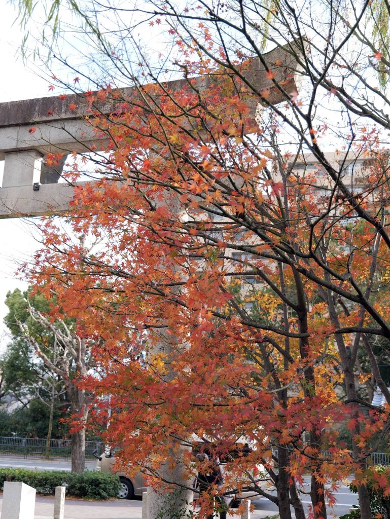 Seimei Shrine: A Kyoto Shinto Shrine Dedicated to Abe no Seimei 2 Seimei Shrine
