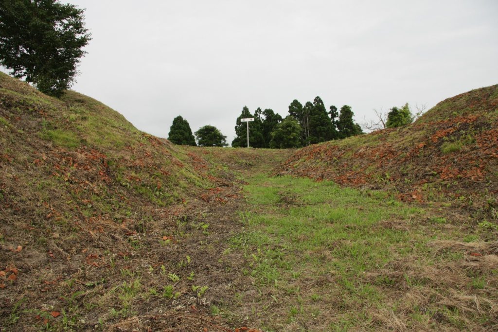 Wakimoto Castle