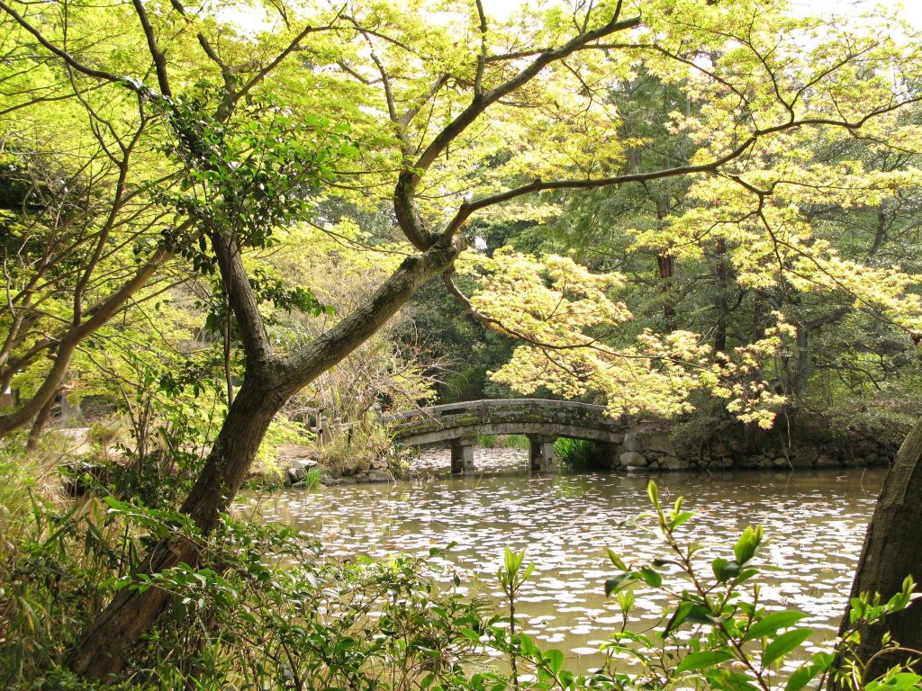 Ryūsen-ji Temple: A Kōyasan Shingon Buddhist Temple in Osaka 4 Ryūsen-ji Temple