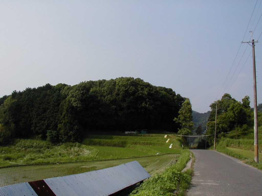 Akasaka Tennōzan Kofun: A Kofun-Period Burial Mound in Japan 1 Akasaka Tennōzan Kofun