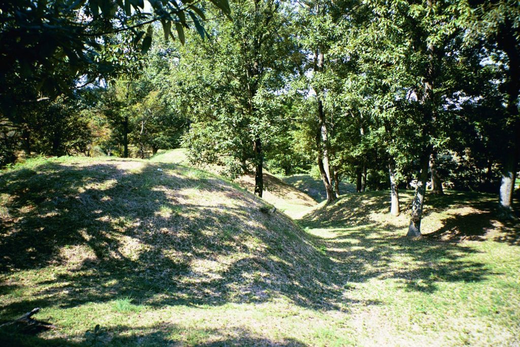 Niizawa-Senzuka Kofun Cluster: A Major Burial-Mound Complex in Japan 2 Niizawa-Senzuka Kofun Cluster