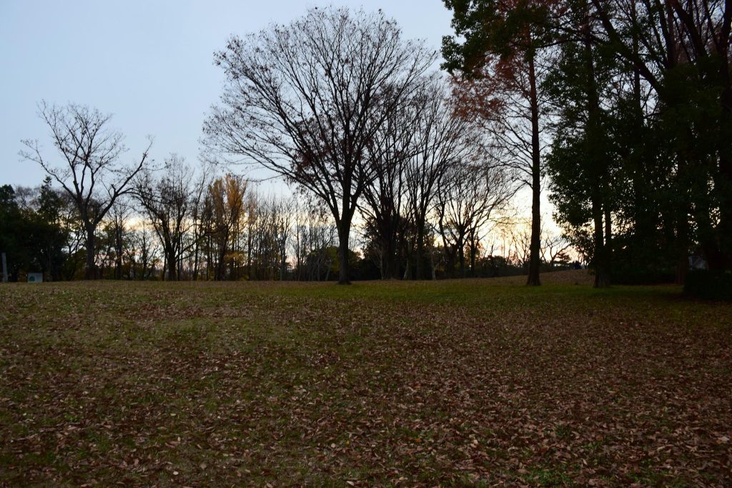 Miharashidai Site: A Multi-Period Archaeological Site in Nagoya, Japan 4 Miharashidai Site
