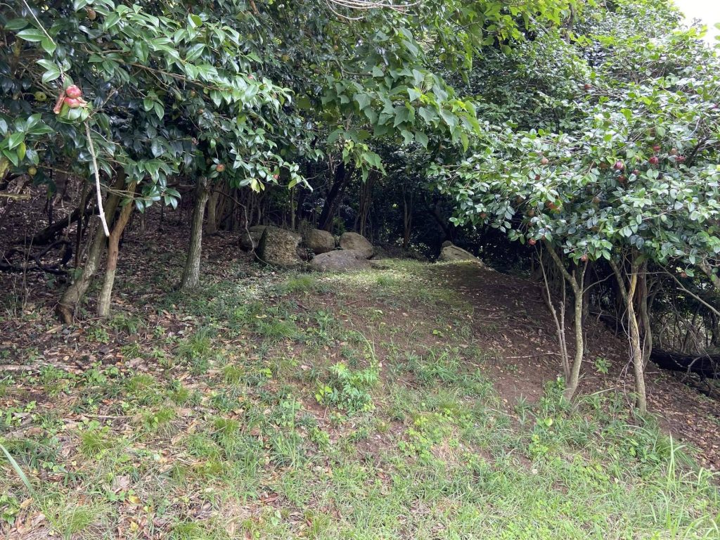 Ōdomari Kofun Group: A Maritime Cemetery of the Kofun Period 2 Ōdomari Kofun Group