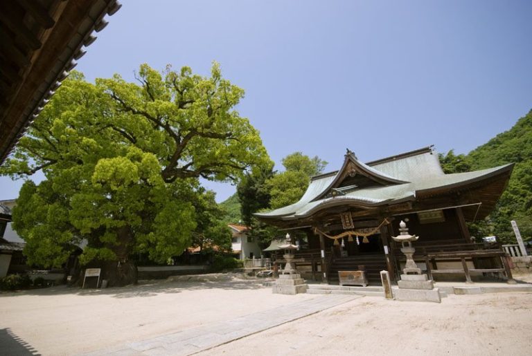 Itosaki Shrine: A Historic Hachiman Shrine in Mihara, Japan