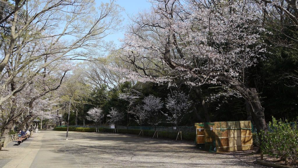 Kamenokoyama Kofun