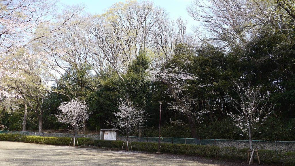 Kamenokoyama Kofun