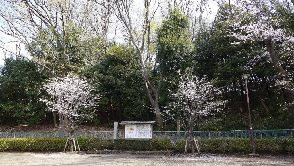 Kamenokoyama Kofun