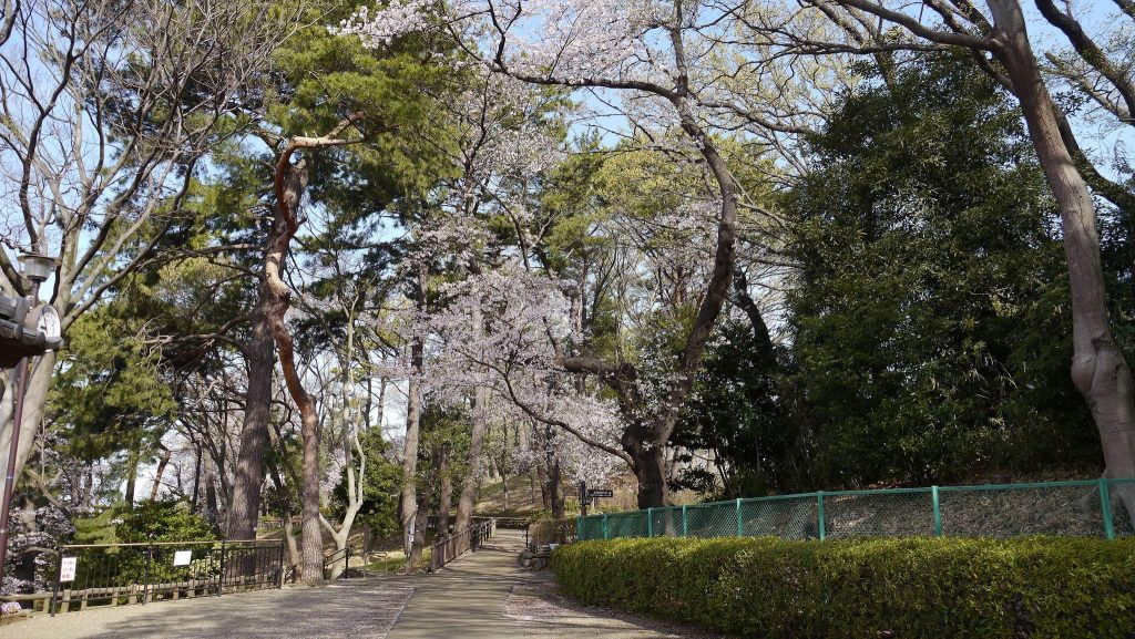 Kamenokoyama Kofun