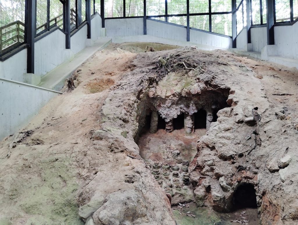 Konagasō Pottery Kiln Ruins: A Muromachi-Period Seto Ware Kiln Site 2 Konagasō Pottery Kiln ruins