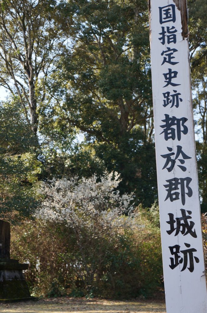 Tonokōri Castle