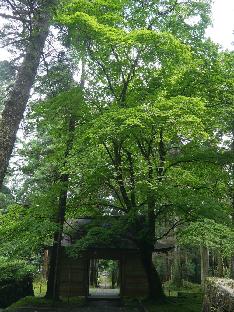 Konsho-ji Temple: A Historic Tendai Buddhist Center in Japan 5 Konsho-ji Temple