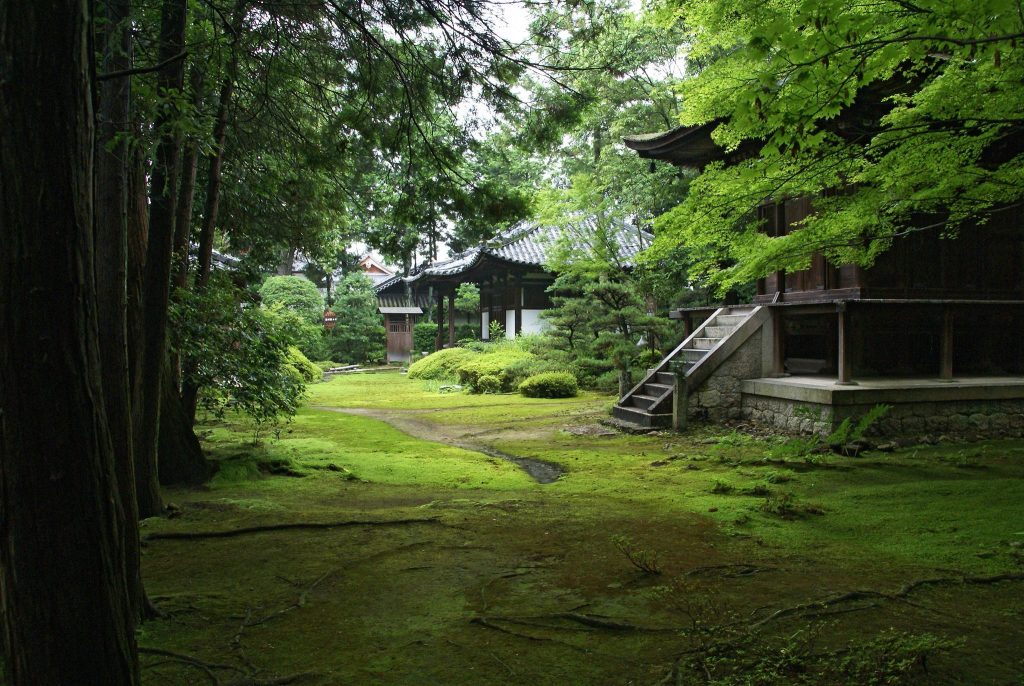 Jigen-in Temple: A Historic Shingon Buddhist Temple in Izumisano 3 Jigen-in Temple