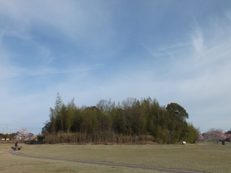 Tamaoka Kofun Cluster: A Group of Kofun-Period Burial Mounds in Japan