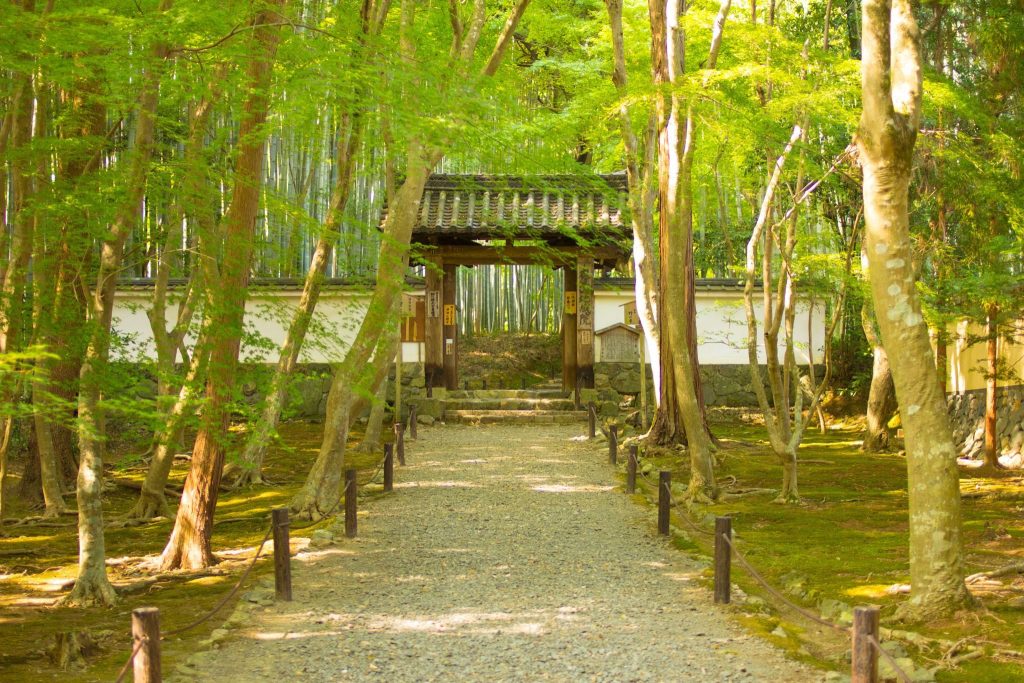 Jizō-in Temple: A Rinzai Zen Temple in Kyoto 5 Jizō-in Temple