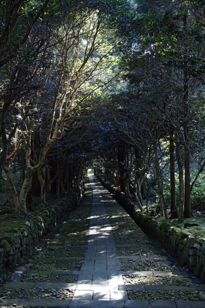 Takidan-ji Temple: A Historic Shingon Buddhist Temple in Sakai, Fukui 2 Takidan-ji Temple
