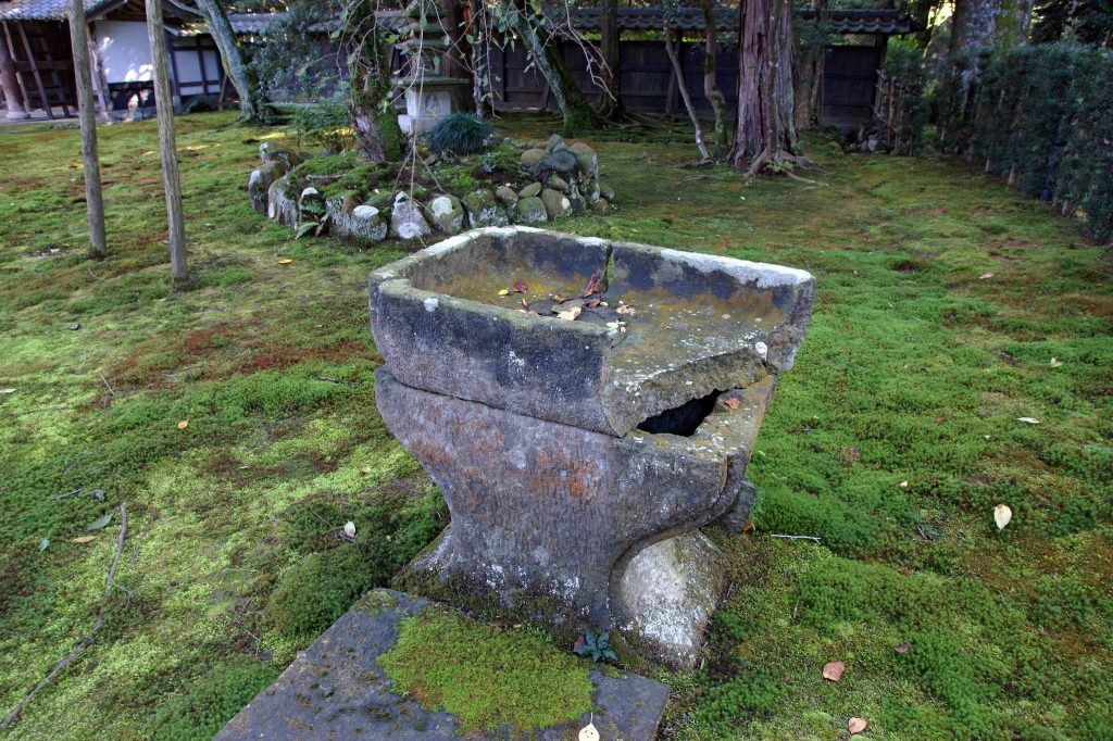 Takidan-ji Temple: A Historic Shingon Buddhist Temple in Sakai, Fukui 4 Takidan-ji Temple