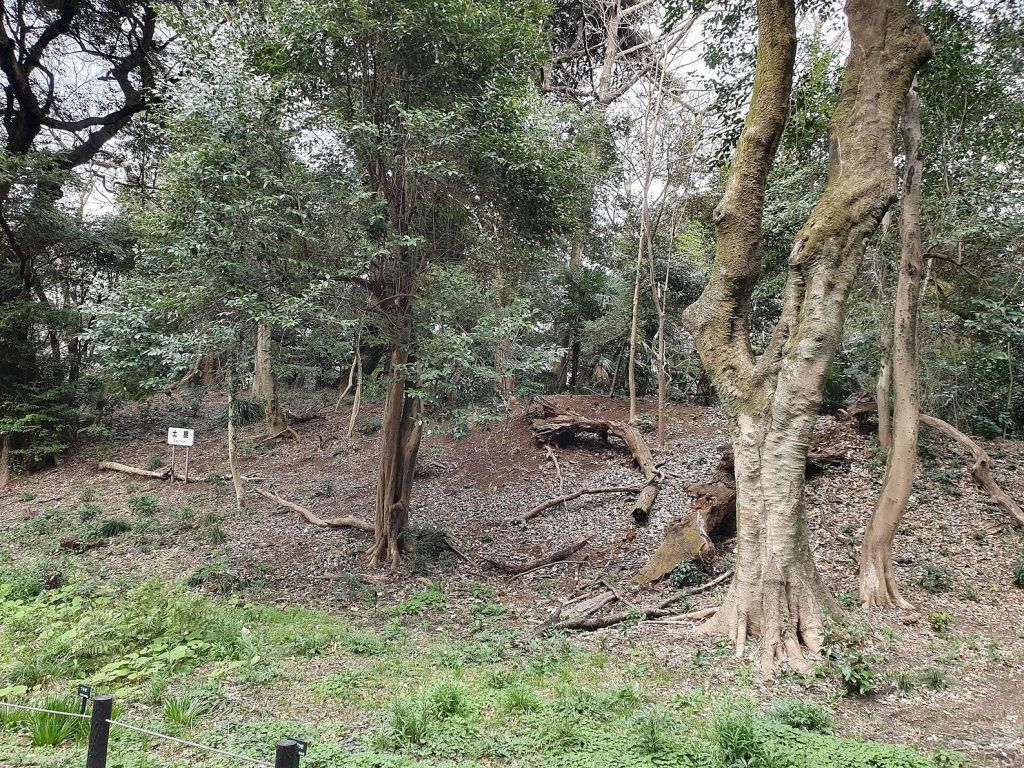 Shirokane Manor Grounds