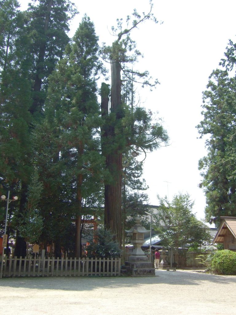 Uda Mikumari Shrine: A National Treasure Shinto Sanctuary in Japan 3 Uda Mikumari Shrine