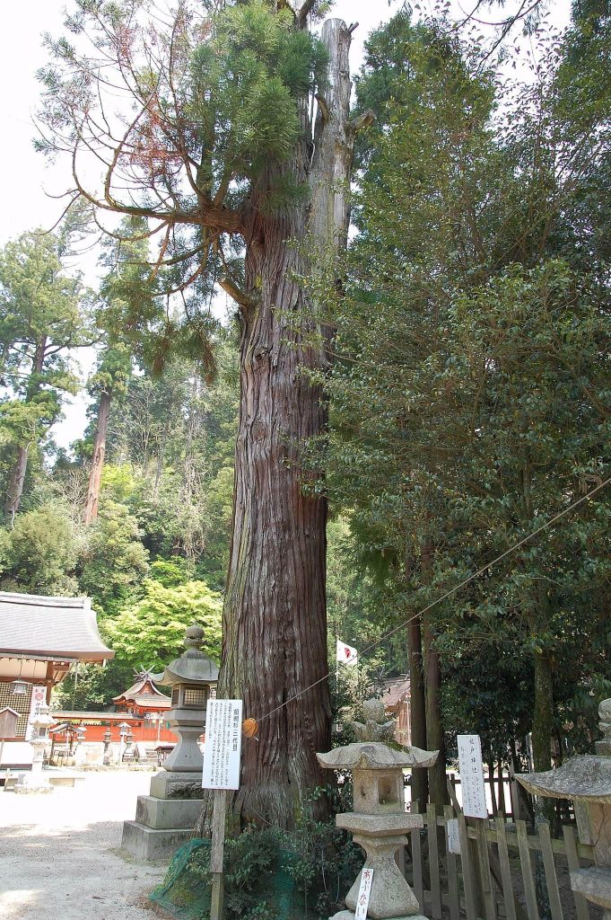 Uda Mikumari Shrine: A National Treasure Shinto Sanctuary in Japan 4 Uda Mikumari Shrine