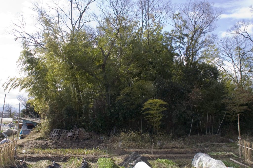 Kaihōzuka Kofun: A Late Kofun-Period Chiefly Tomb in Osaka 2 Kaihōzuka Kofun