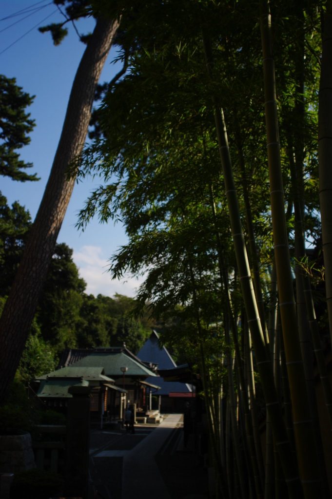 Hongyō-ji Temple: A Nichiren Buddhist Subtemple in Tokyo 4 Hongyō-ji Temple