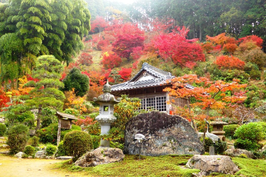 Tasshin-ji Temple: A Soto Buddhist Temple and Sculpture Collection in Tamba 2 Tasshin-ji Temple