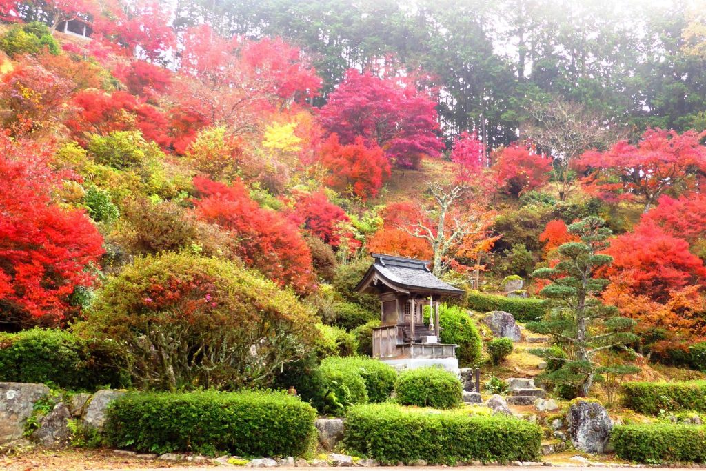 Tasshin-ji Temple: A Soto Buddhist Temple and Sculpture Collection in Tamba 3 Tasshin-ji Temple