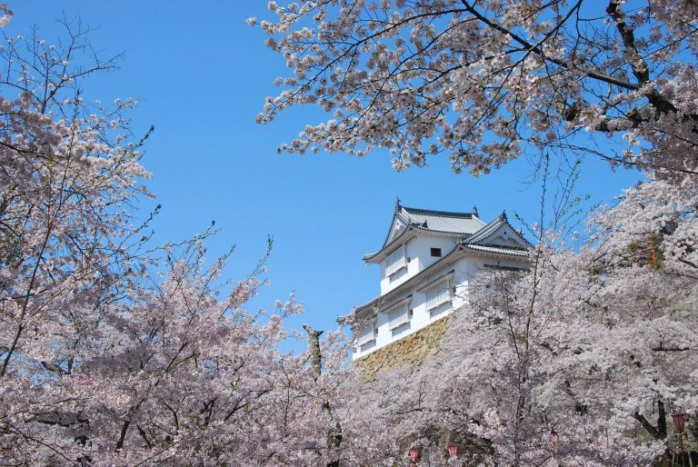 Tsuyama Castle: A Hirayama Castle and Domain Seat in Japan