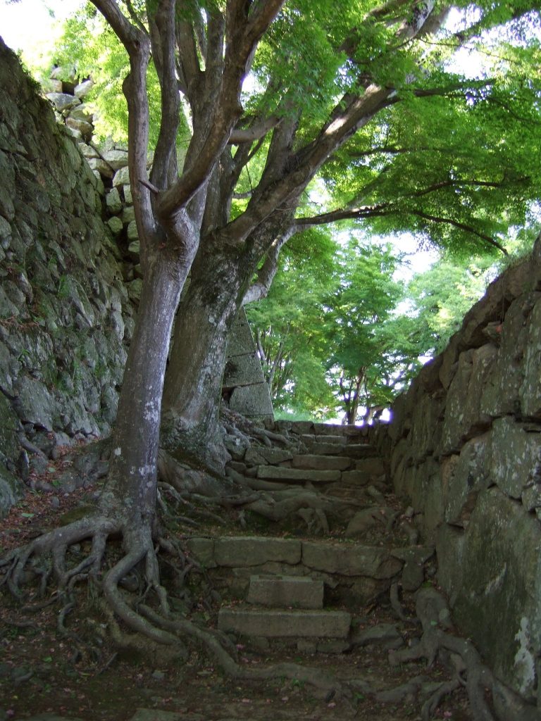 Tsuyama Castle: A Hirayama Castle and Domain Seat in Japan 2 Tsuyama Castle