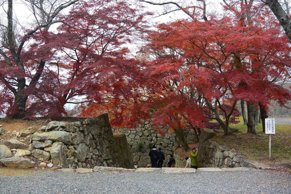 Tsuyama Castle: A Hirayama Castle and Domain Seat in Japan 3 Tsuyama Castle