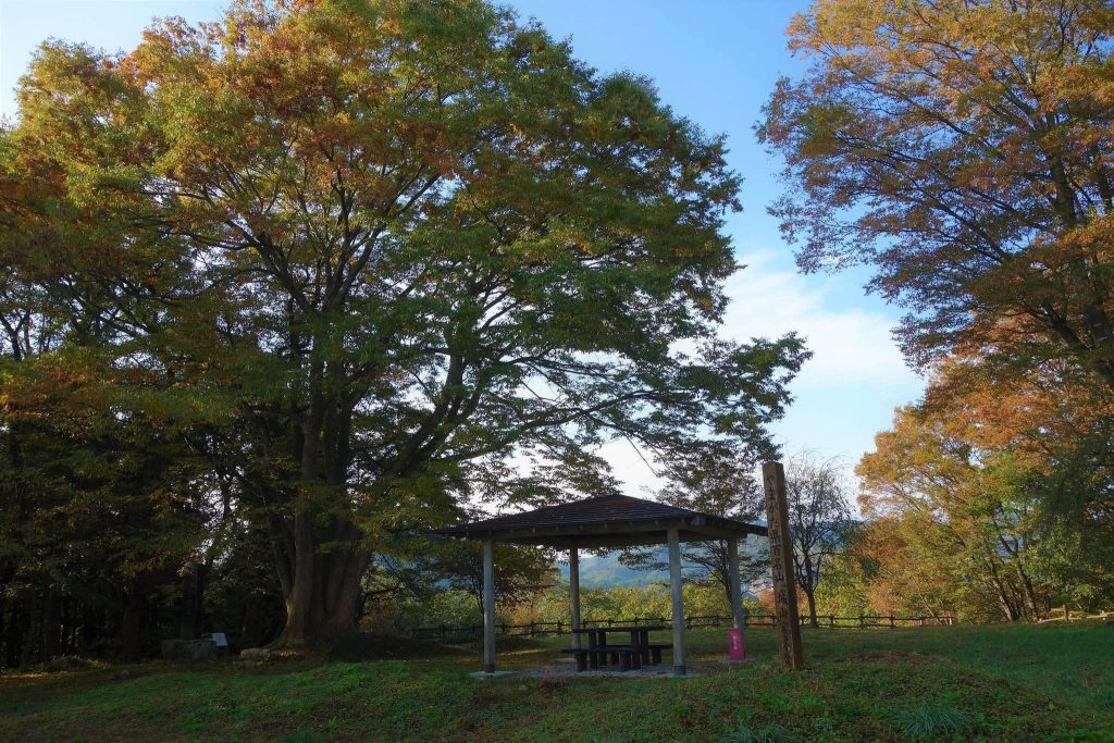 Hasedō Castle: A Mogami Mountain Stronghold in Japan 1 Hasedō Castle