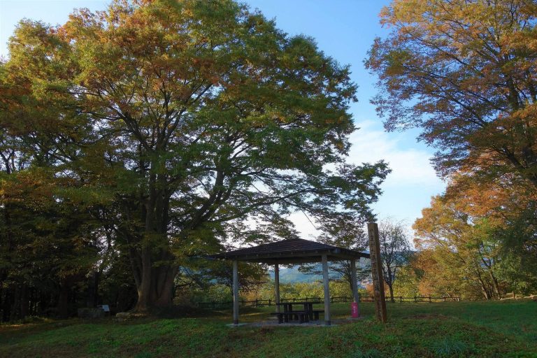 Hasedō Castle: A Mogami Mountain Stronghold in Japan