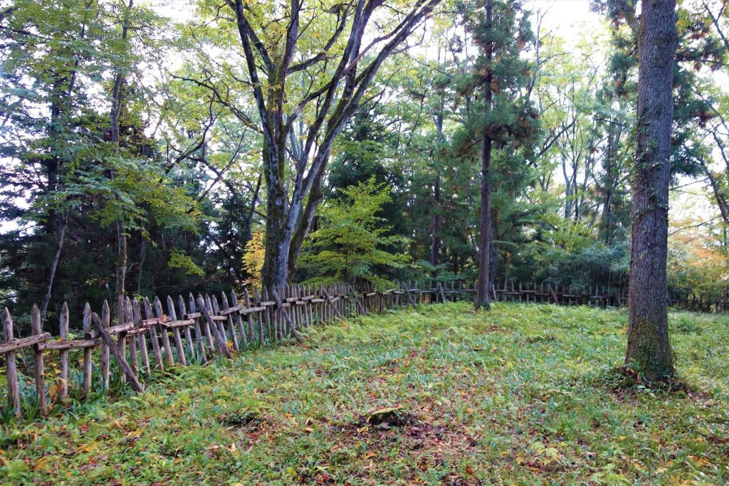 Hasedō Castle: A Mogami Mountain Stronghold in Japan 5 Hasedō Castle