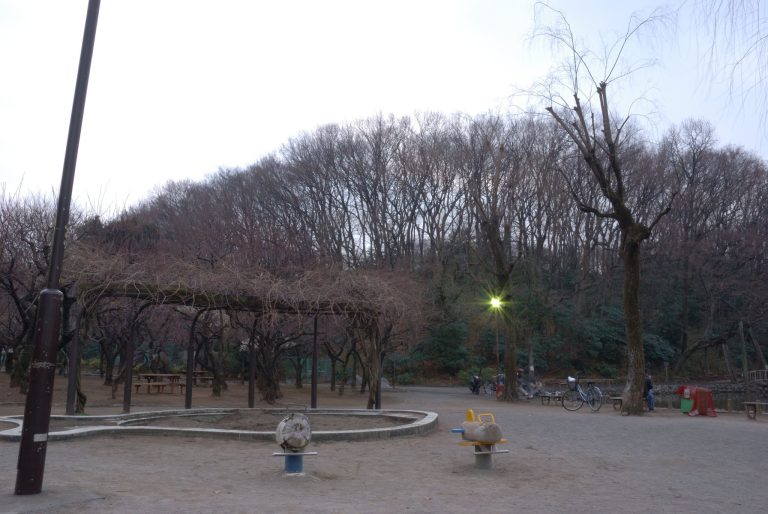 Akatsuka Castle: A Medieval Japanese Hill-and-Plain Castle in Tokyo