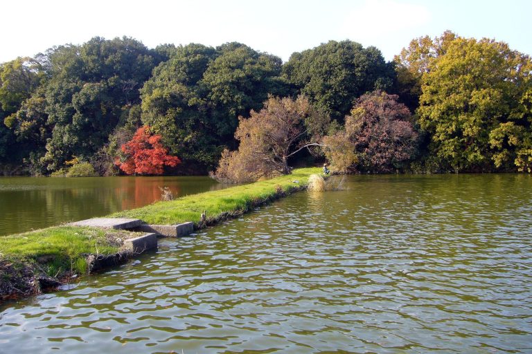 Kawachi Ōtsukayama Kofun: A Yamato Kingship Burial Mound in Japan