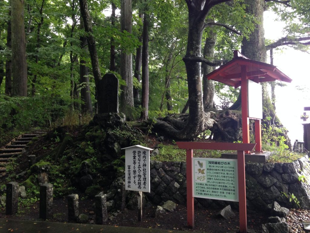 Higashiguchi Hongu Fuji Sengen Shrine: Guardian of the Subashiri Mount Fuji Route 3 Higashiguchi Hongu Fuji Sengen Shrine