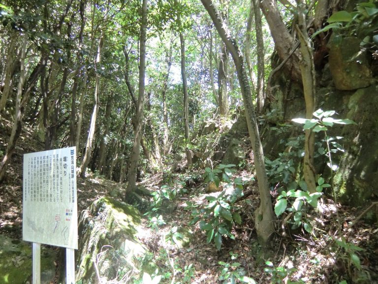 Aratakiyama Castle: A Sengoku-Period Mountain Fortress in Japan