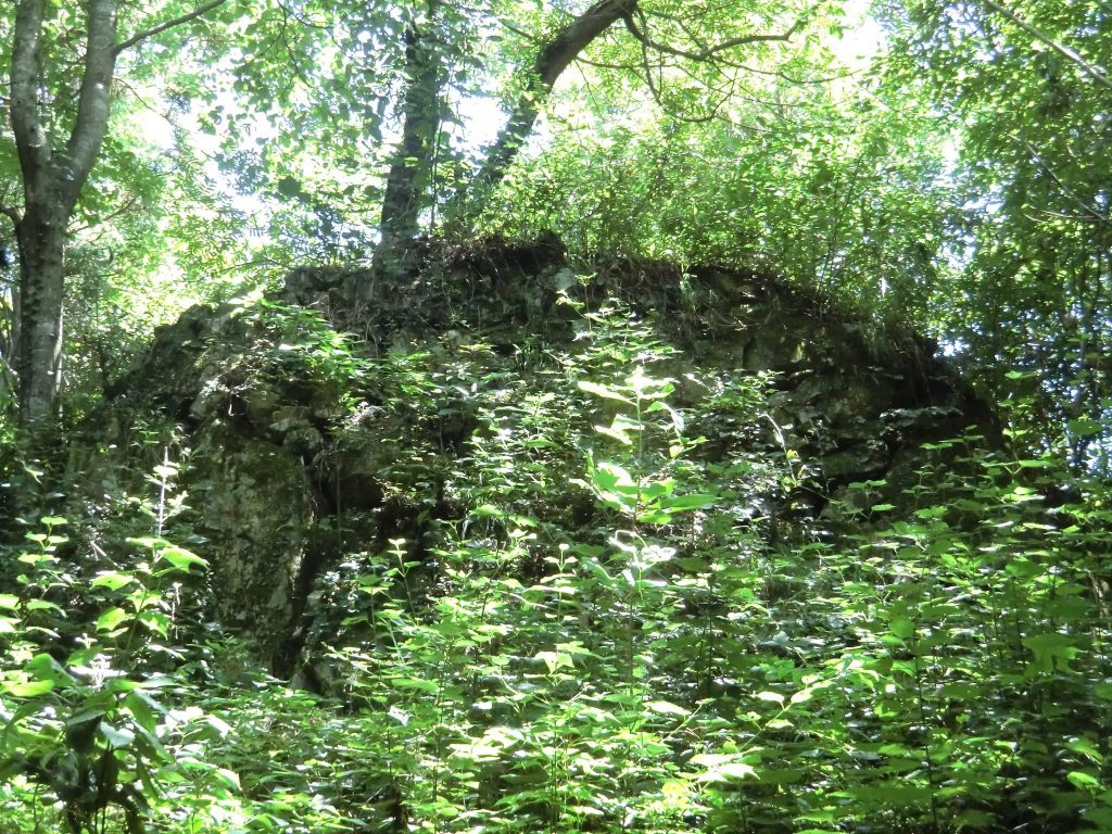 Aratakiyama Castle: A Sengoku-Period Mountain Fortress in Japan 3 Aratakiyama Castle