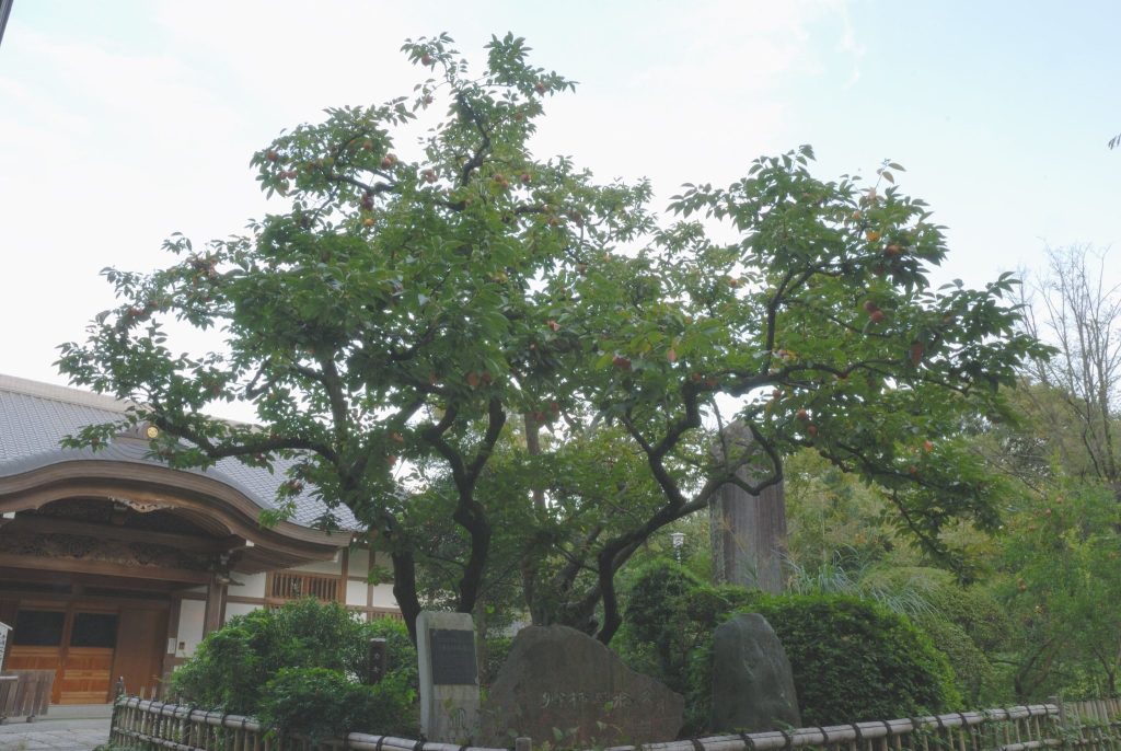 Ōsen-ji Temple: A Shingon Buddhist Temple in Kawasaki 5 Ōsen-ji Temple