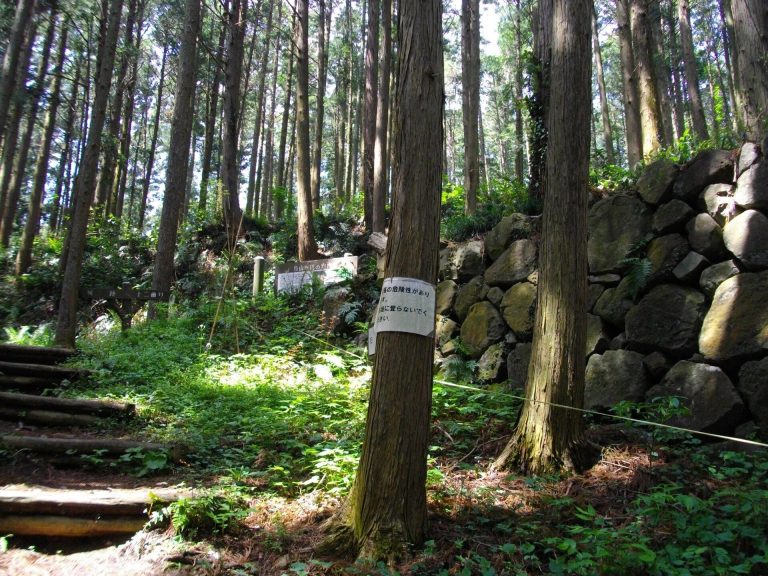 Karasuyama Castle: A Mountain Stronghold and Domain Seat in Japan