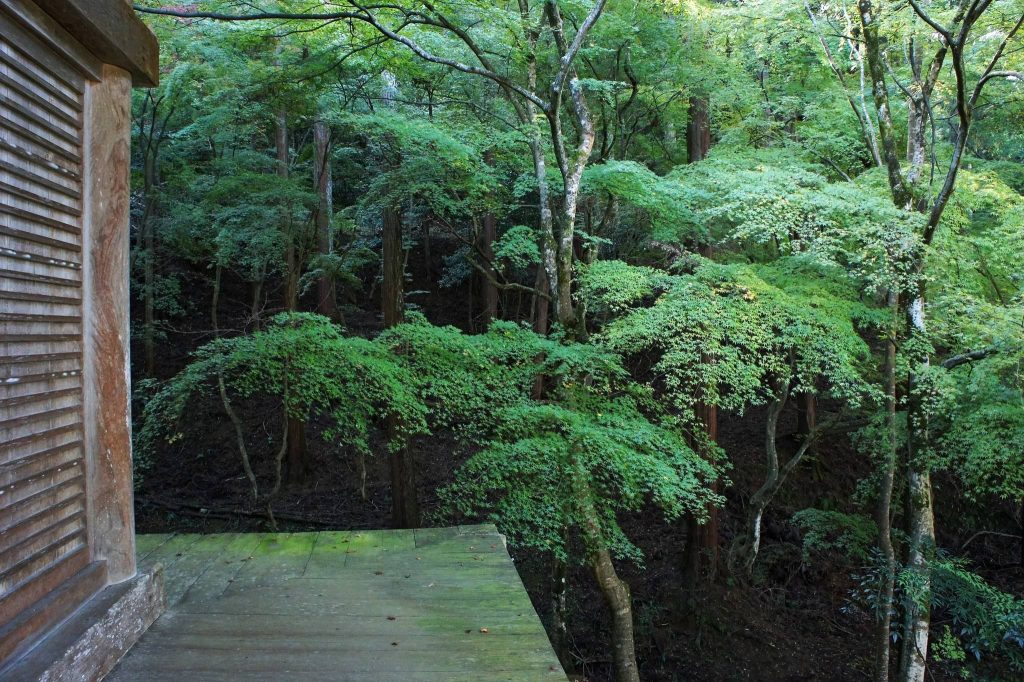 Mantoku-ji Temple: A Shingon Buddhist Temple and Historic Garden in Japan 3 Mantoku-ji Temple