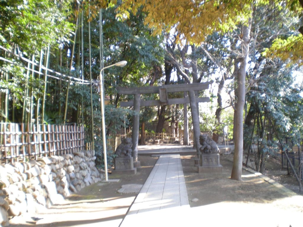 Shibuya Hikawa Shrine: A Shinto Shrine in Tokyo 5 Shibuya Hikawa Shrine