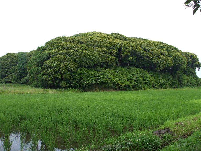 Dairizuka Kofun Cluster: A Kofun-Period Burial-Mound Cemetery in Japan