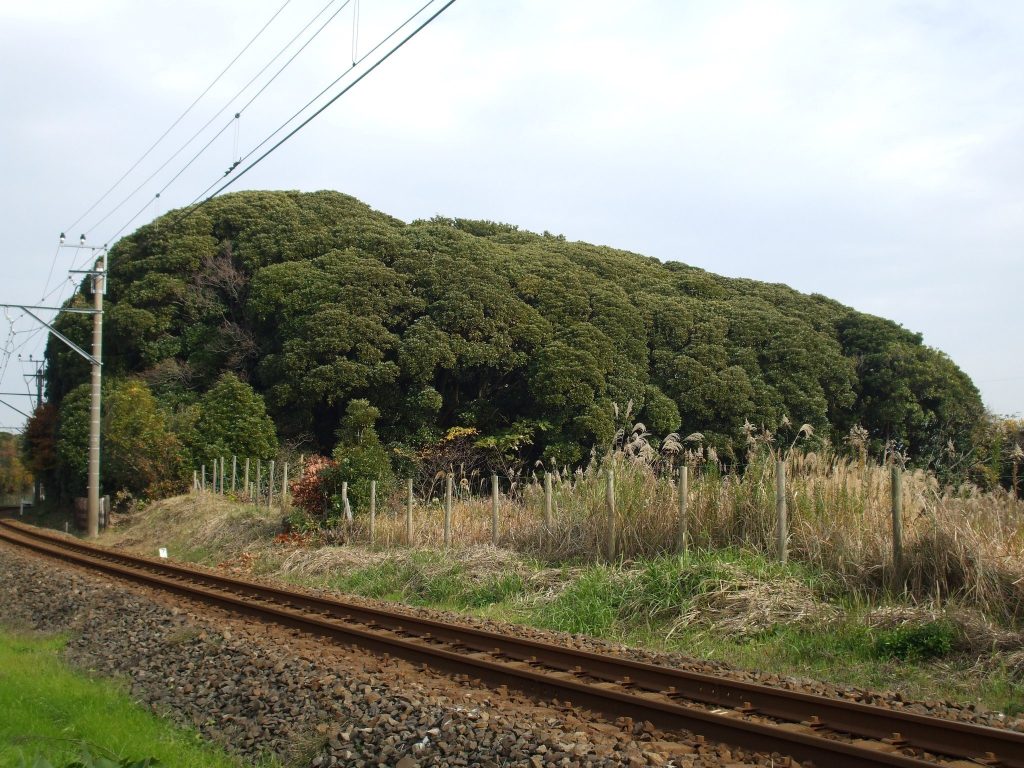 Dairizuka Kofun Cluster