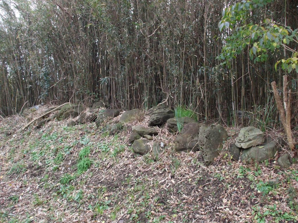Dairizuka Kofun Cluster