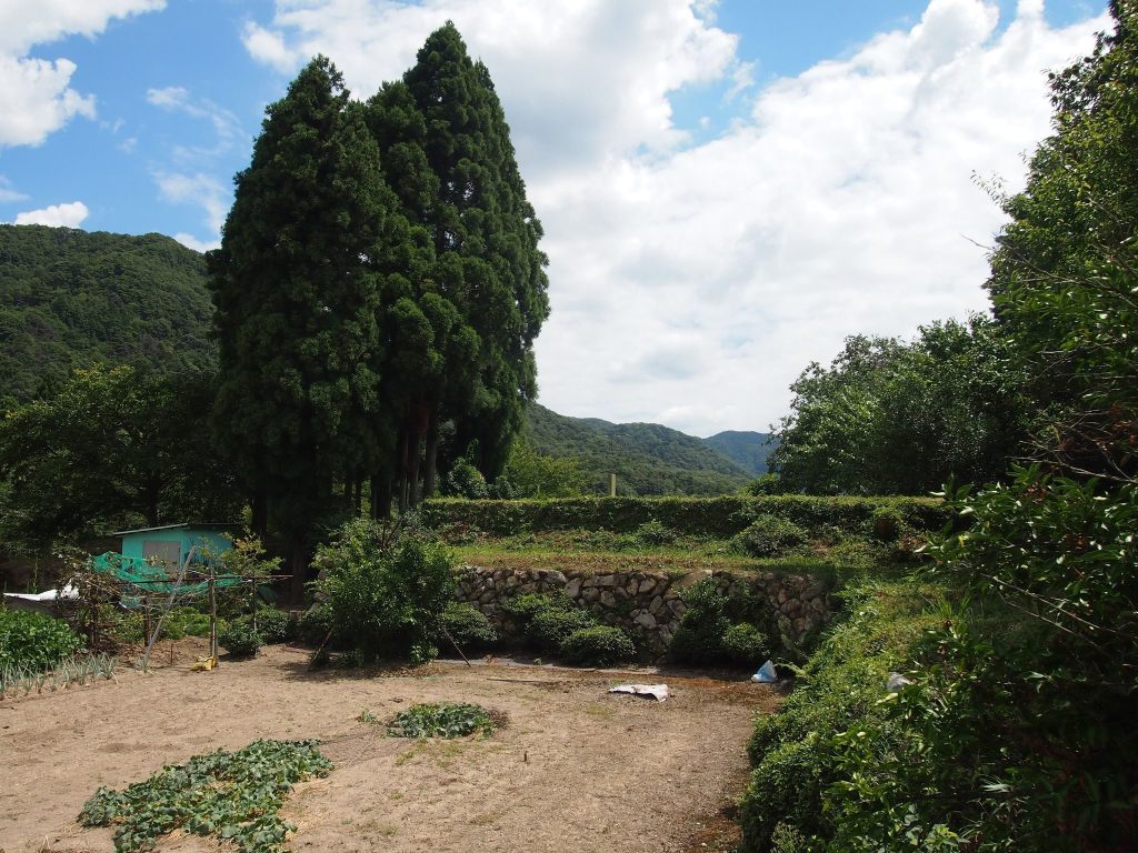 Hikida Castle