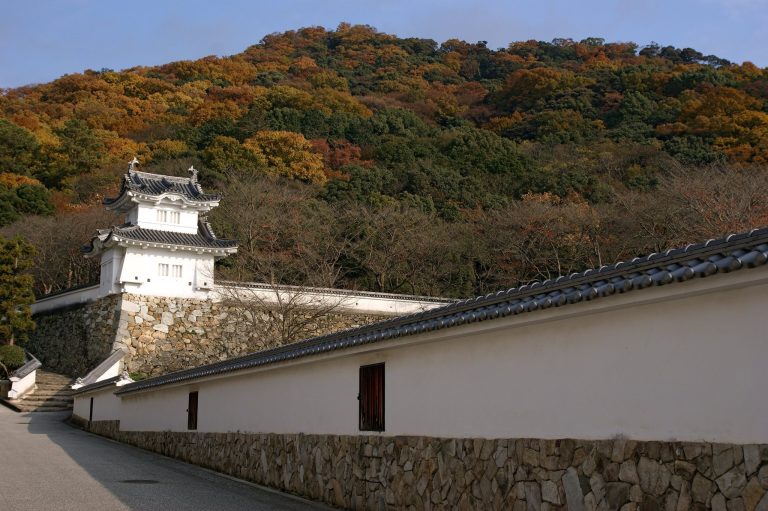 Tatsuno Castle: A Mountain Fortress and Domain Residence in Japan