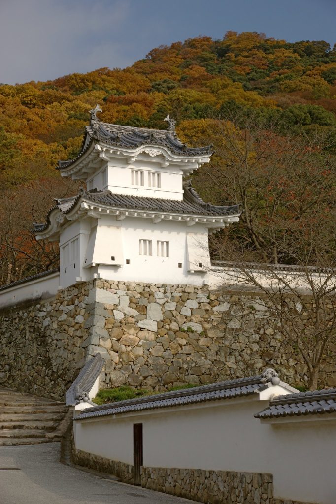 Tatsuno Castle: A Mountain Fortress and Domain Residence in Japan 4 Tatsuno Castle