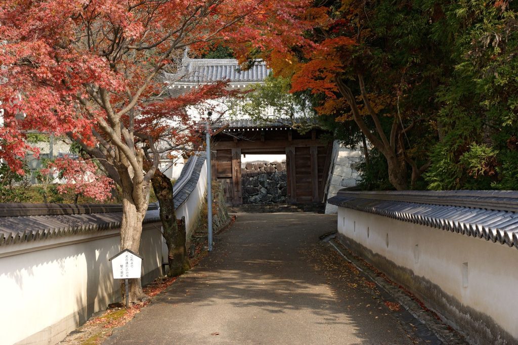 Tatsuno Castle: A Mountain Fortress and Domain Residence in Japan 5 Tatsuno Castle
